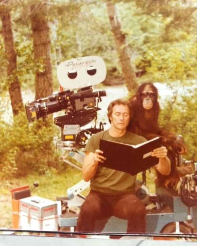 Eastwood reads to orangutan on 'Every Which Way But Loose' set (1978)