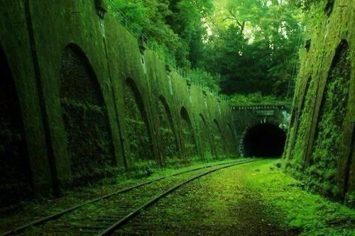 Paris's Abandoned Train Tunnel Discovered