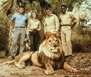 CBS television series, Daktari, featuring a cast that aired from 1966 to 1969.