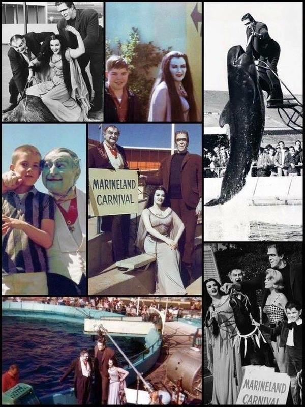 Cast of 'The Munsters' attends the 1965 Marineland of the Pacific carnival.