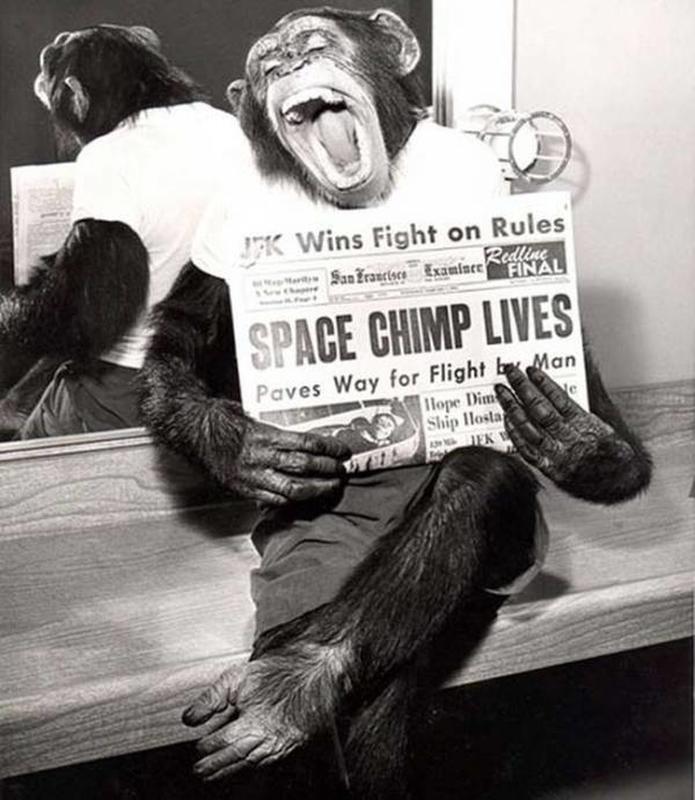 Astro Ape's Life