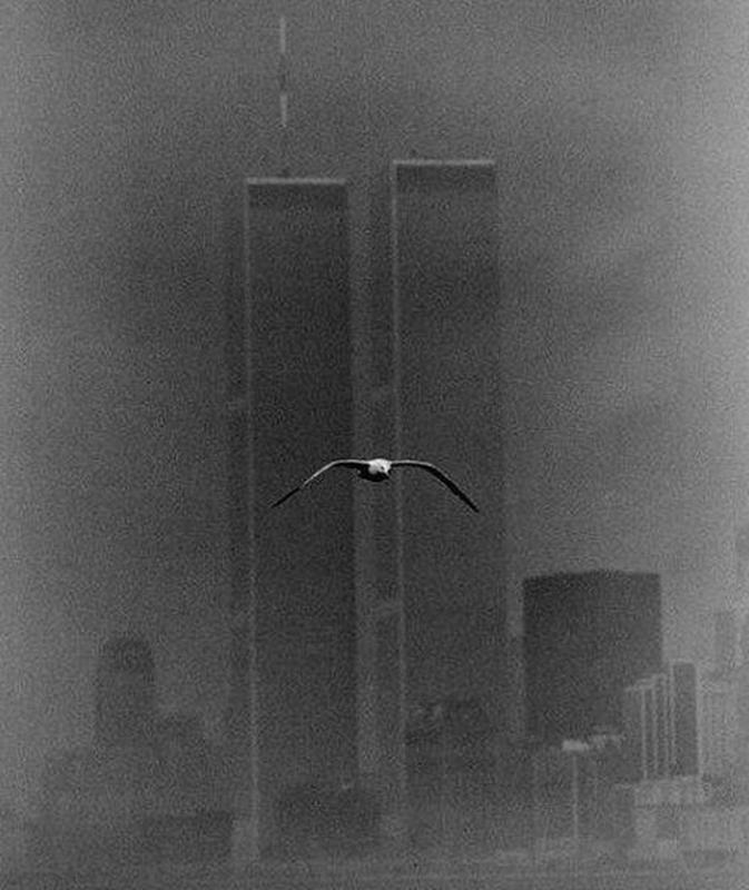 1979: Remembering the Twin Towers