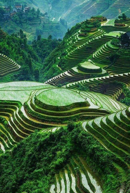 Ancestors of indigenous people sculpted the Banaue Rice Terraces in the mountains of Ifugao, Philippines