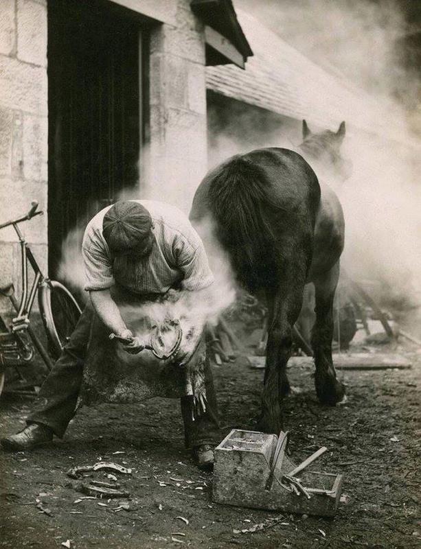Horse in Scotland during the 1920s receives farrier services