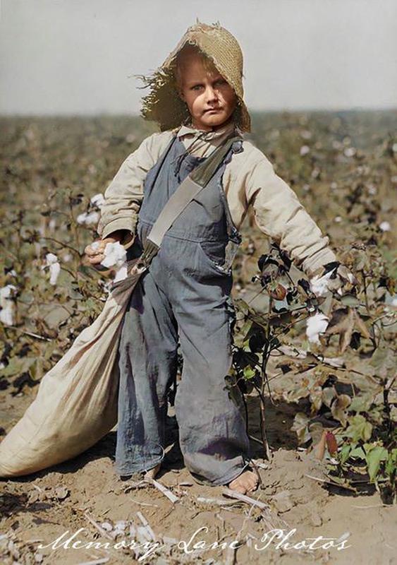 Lewis W Hine's circa 1910 photograph captures a young cotton picker in the American South