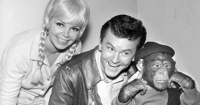 Bob Crane and Sigrid Valdis Tie the Knot and Joyfully Expand Their Family with the Arrival of a Son