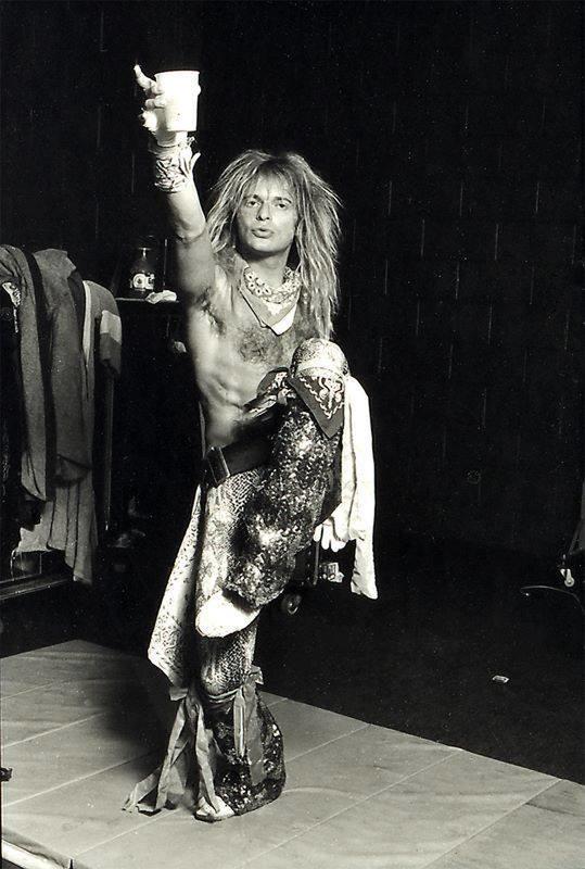David Lee Roth, the rocking sensation of the late 1970s.