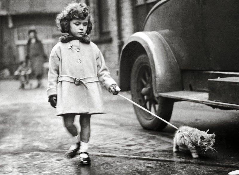 1931: Little girl strolls city streets with her kitten.