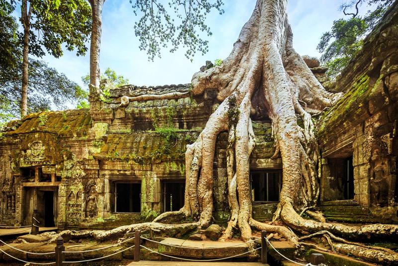 Ancient city of Angkor in Cambodia reveals Ta Prohm temple intertwined with roots
