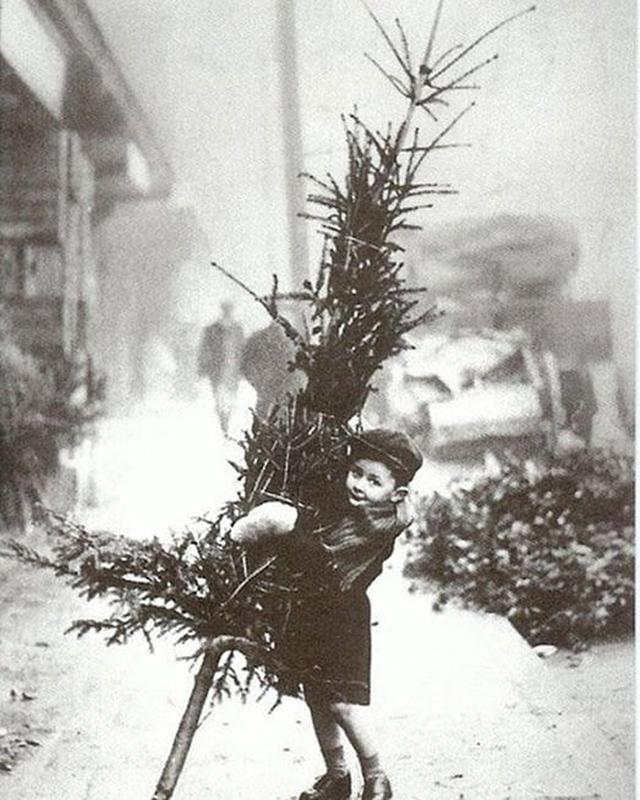 Boy's 1900 Christmas tree trek