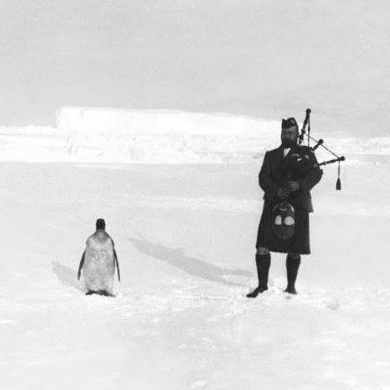 Scottish explorer charms penguin with a serenade during an icy Antarctic journey in 1904.