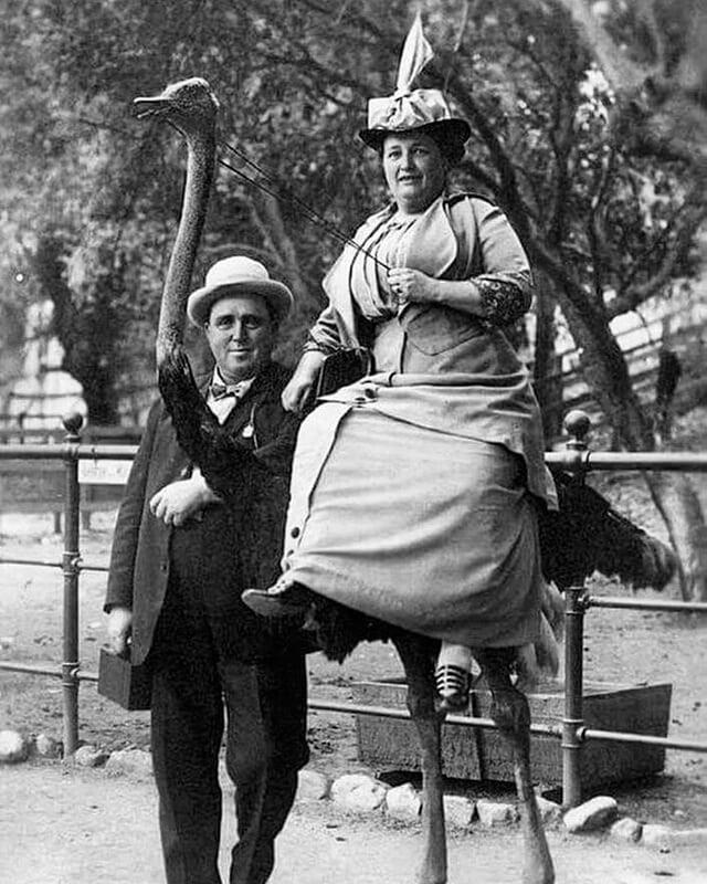 An Unforgettable Meeting with an Ostrich in Paris, 1910
