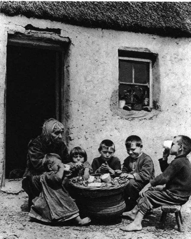 Ireland in 1915: A Historical Snapshot