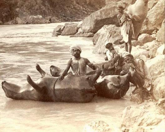 Sutlej River Crossing in India, 1908: Bullock-Skin Boats Inflated