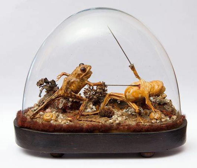 Century-old sealed French mansion reveals taxidermy collection filled with frogs.