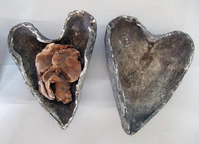 Heart of a preserved human discovered in medieval crypt in Cork during the 1860s