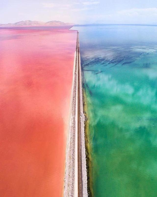 Distinct colors in Great Salt Lake created by unique bacteria, divided by Utah causeway.
