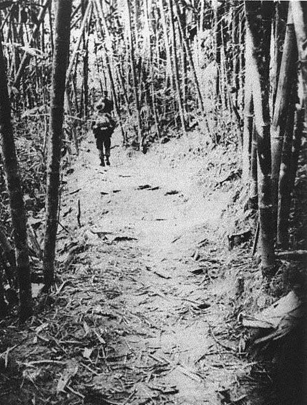 U.S. Commando Successfully Captures Secret Snapshot of Vietcong Troops Advancing in Thick Jungle