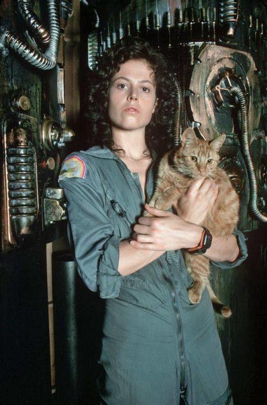 Ripley and Jonesy Star in Iconic 1979 Film 'Alien