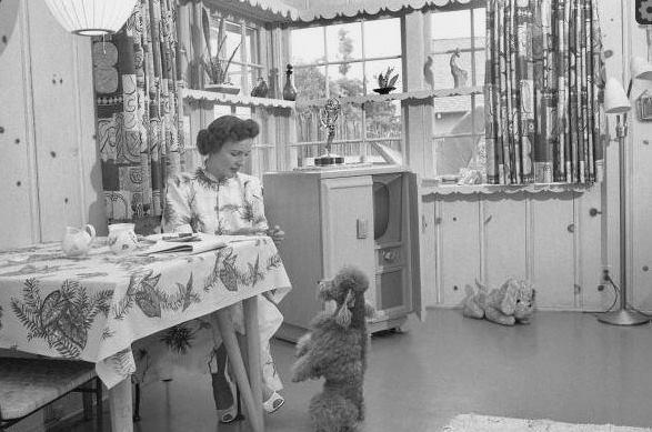 Betty White Enjoys the Company of Her Poodle in 1952 While at Home