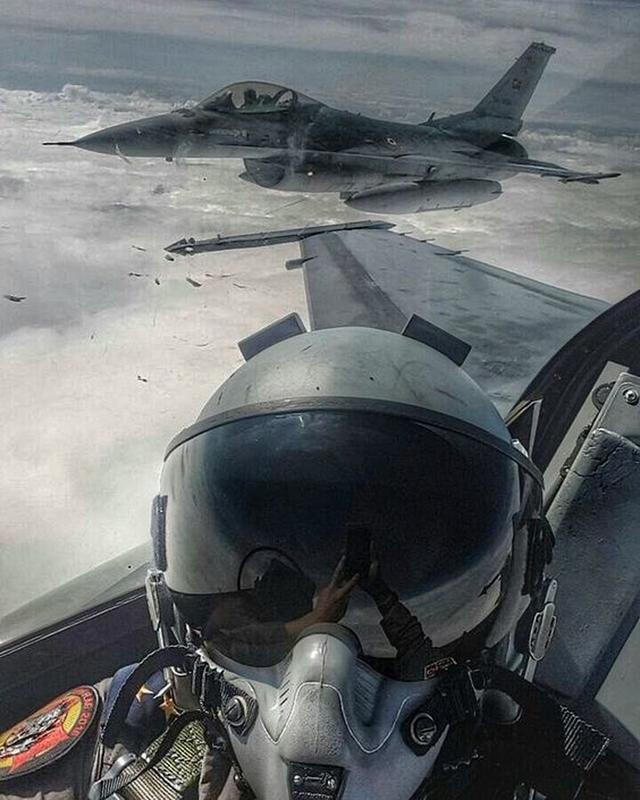 Jet fighters embrace the wild life