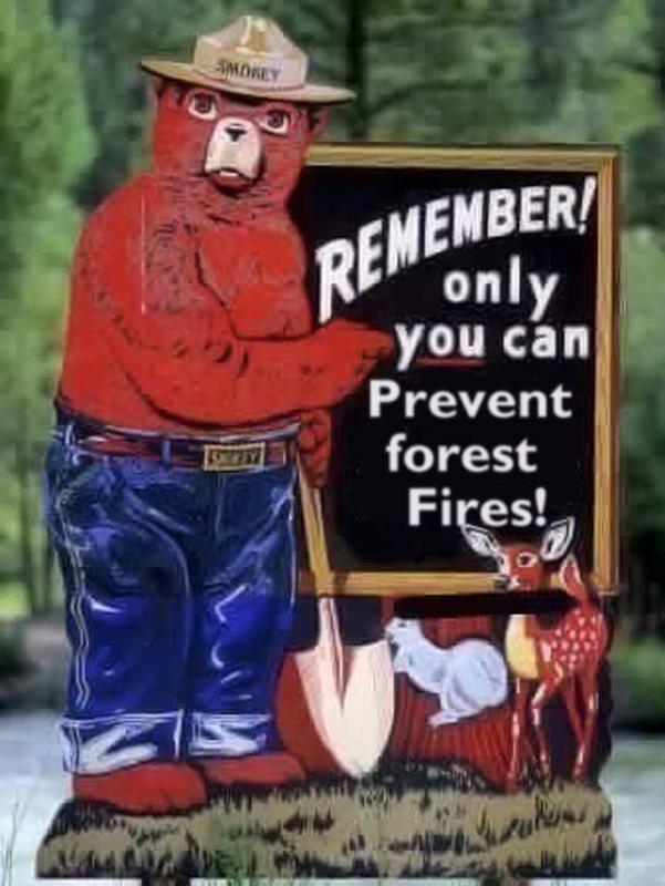 You can prevent forest fires.