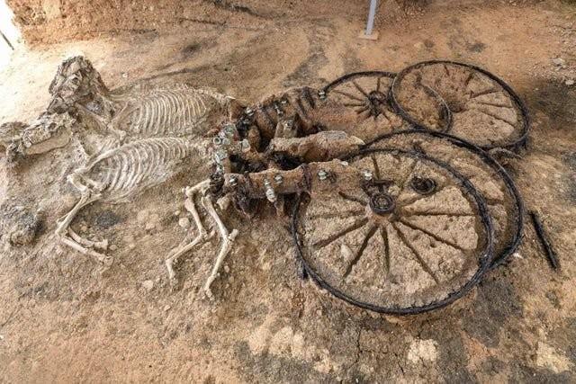 Archaeologists Make Remarkable Discovery: Thracian Carriage and Two Horses Found Buried Vertically