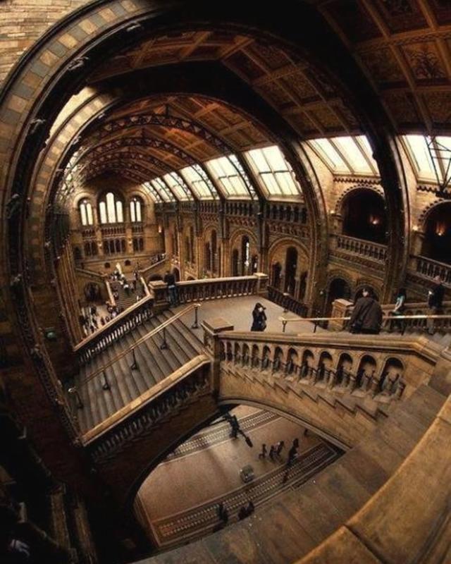 The Natural History Museum in London offers days of exploration