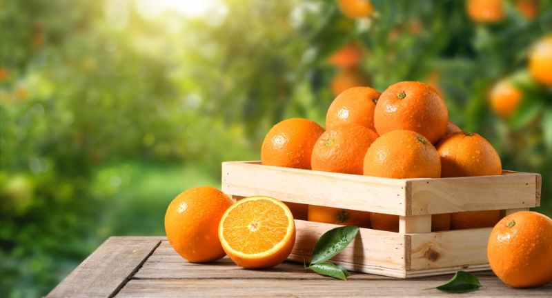 Health Benefits of Oranges