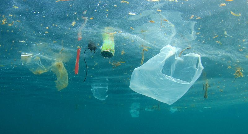 The Impact of Single-Use Plastic Bags