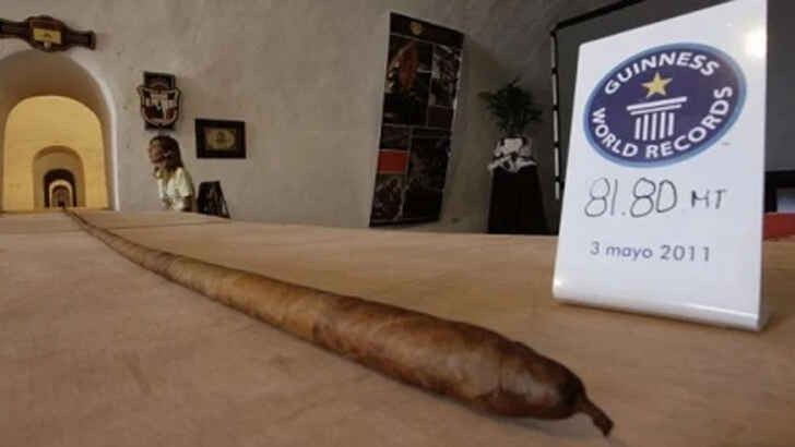 Longest Cigar