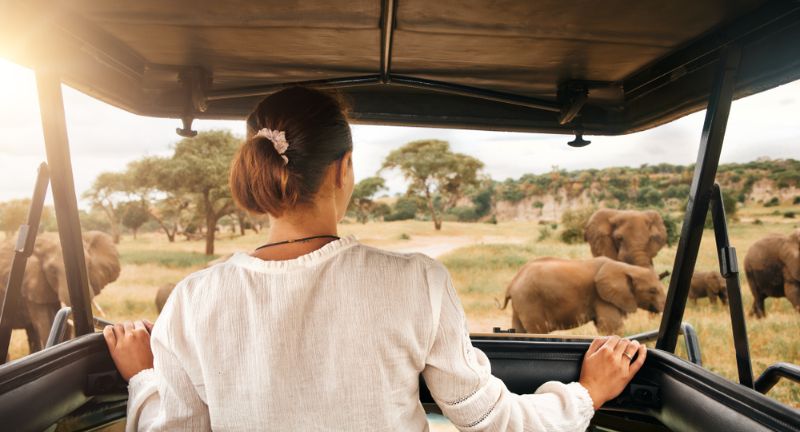 Safari in Africa