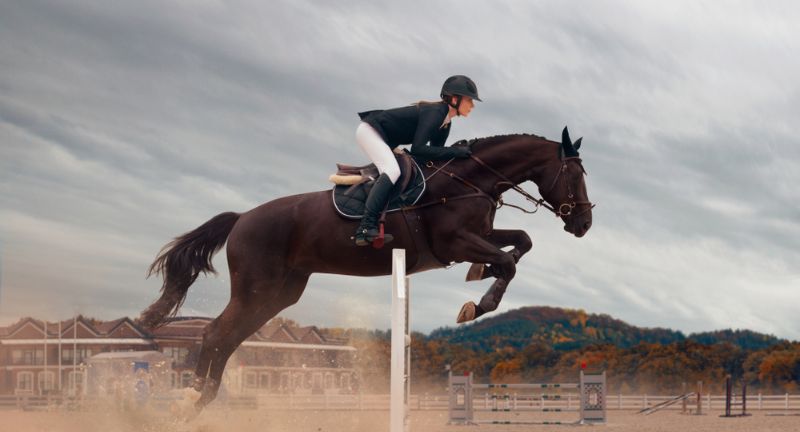 Equestrian Sports