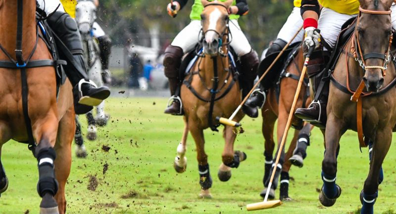 Polo's Modern Challenges