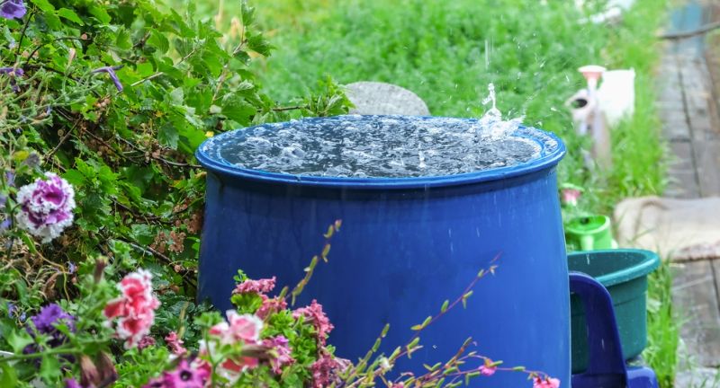 The Benefits of Rain Barrels