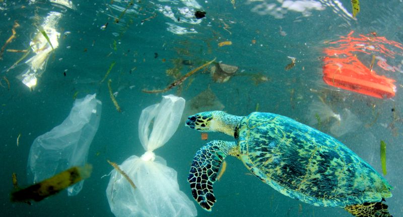 The Revival of Reusing Tinfoil and Plastic Bags