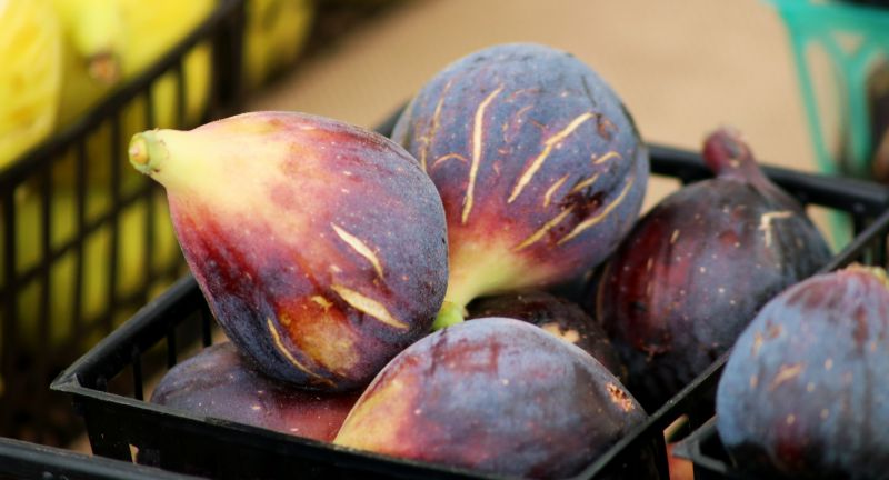 Fresh Figs