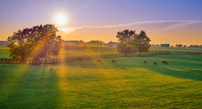 The Emotional Anthem of the Kentucky Derby