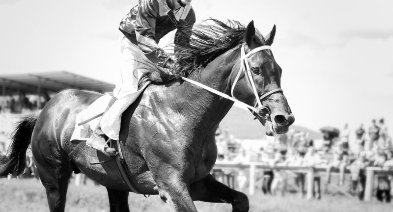 Historic Wins in the Kentucky Derby